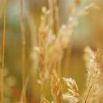 明日からです♪