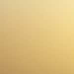 IOFT 2011 リポート－ＯＡＫＬＥＹ編－