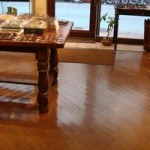 熊本の陽射しに・・・