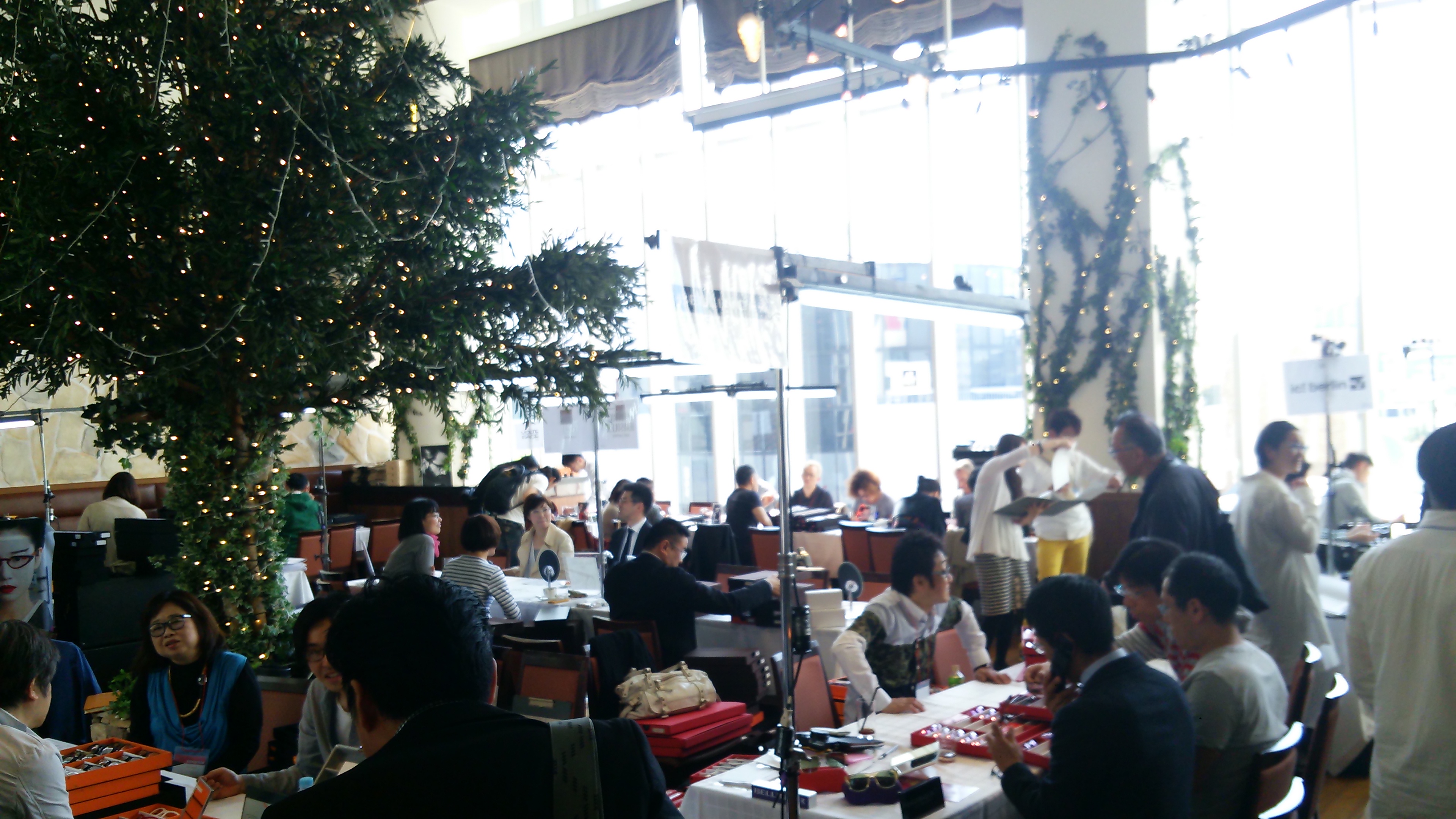 wpid-DSC_2351.jpg image