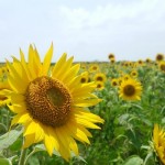 ひと休みひとやすみ～