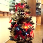 クリスマスに向けて♪