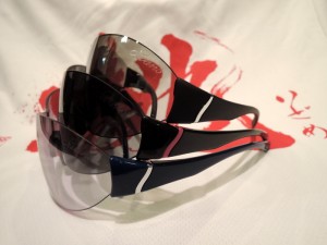 SWANS -双-で挑め!!