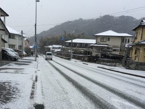 久々の雪化粧