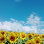 メガネにとって、夏は過酷な季節！？夏のメガネライフで気をつけたいこと