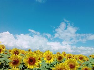 メガネにとって、夏は過酷な季節！？夏のメガネライフで気をつけたいこと