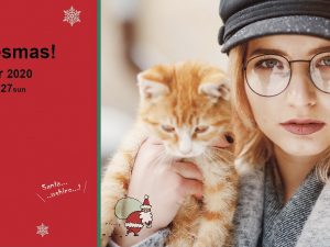 27日 本日まで《クリスマスフェア2020》