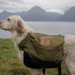 【ブランドヒストリー】アスリートに愛される「オークリー（OAKLEY）」スポーツサングラス