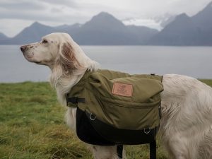 【ブランドヒストリー】アスリートに愛される「オークリー（OAKLEY）」スポーツサングラス